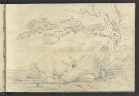 William Brockedon A Study from Nature (A cow resting under a tree)