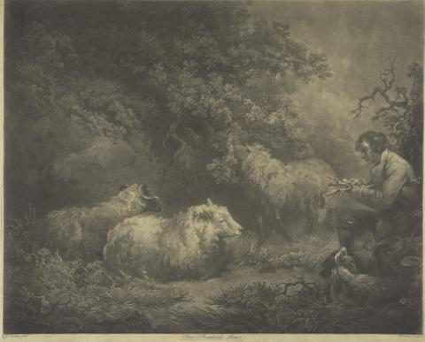 William Ward The Shephard Boy