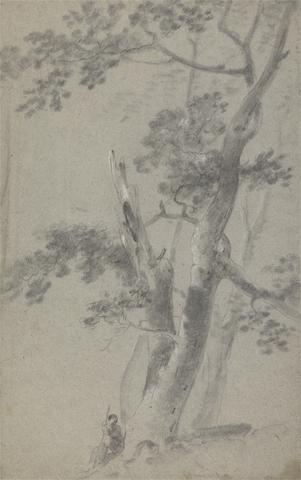 Shepherd Seated Under a Tree