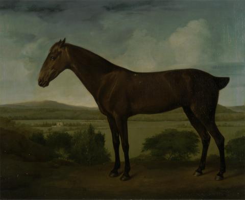 unknown artist Brown Horse in a Hilly Landscape