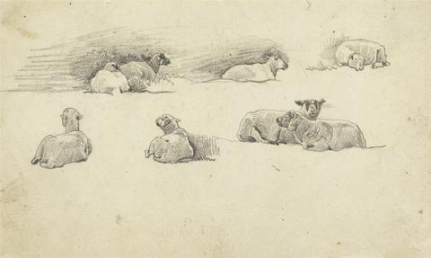 Cornelius Varley Study of Sheep