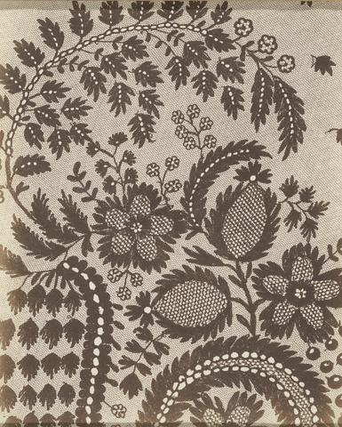 William Henry Fox Talbot Lace Sample