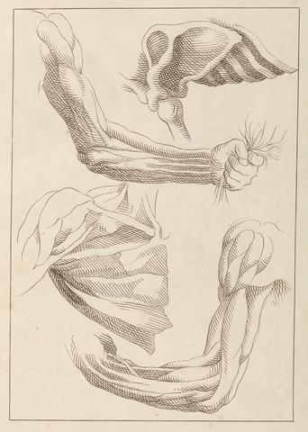Hamlet Winstanley Anatomical Studies of Arms and Shoulders, October 16, 1716