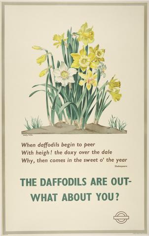 Dorothy Hutton The Daffodils Are Out. What About You?
