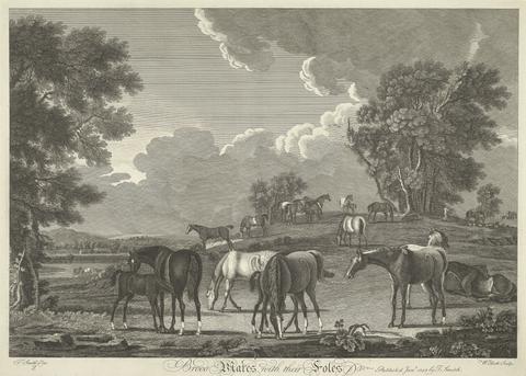 William Elliot [Horse-racing] Set of six: 2. Brood Mares with their Foles