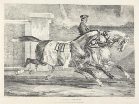 Charles J. Hullmandel Horses Exercising