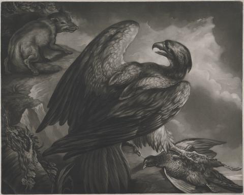 John Murphy [Animals: an eagle with a dead pheasant, watched by a fox]