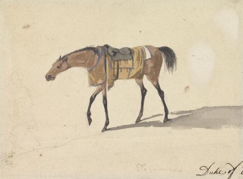 Peter Tillemans A Saddle Horse of the Duke of Devonshire
