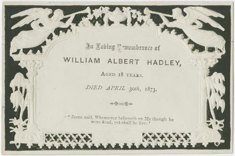  In loving remembrance of William Albert Hadley, aged 18 years :