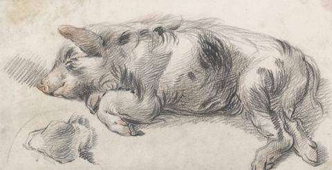 James Ward Sleeping Pig