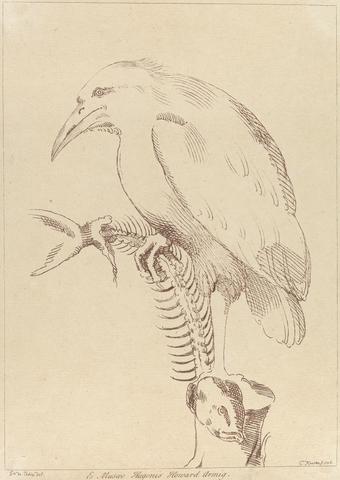 George Knapton Untitled: Bird holding fish skeleton