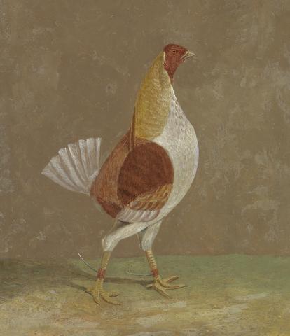 John Frederick Herring Fighting Cocks: a Pale-Breasted Fighting Cock, Facing Right