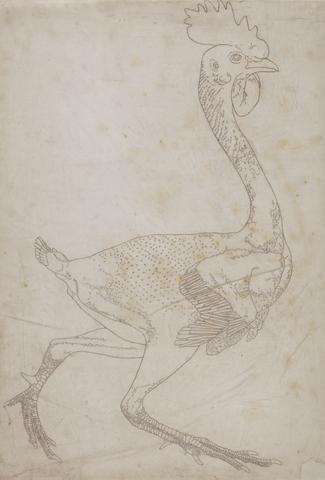 George Stubbs Fowl Body, Lateral View (Probably Prepared for Transfer to the Plate for Engraving the Key Figure to Table X)