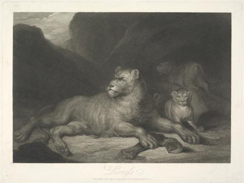 Samuel William Reynolds Animals [a pair]: 1. Lioness