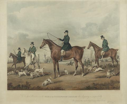 Hare Hunting: Doddington Beagles