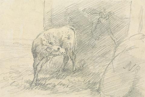 Calf, with Head of a Cow