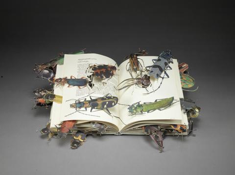 [Beetles book].