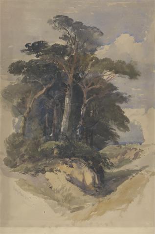 William James Muller Pines on Hampstead Heath