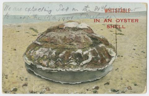  Whitstable in an oyster shell.