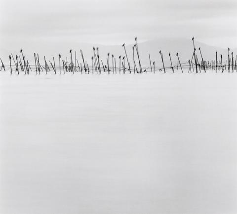 Michael Kenna Birds on Poles, Biwa Lake, Honshu, Japan