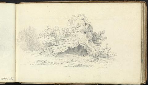Thomas Bradshaw Album of Landscape and Figure Studies: Sketch of Shrubbery