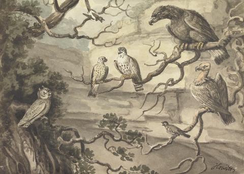 Samuel Howitt An Owl, an Eagle, Two Falcons, a Vulture and Other Birds Perched in Trees