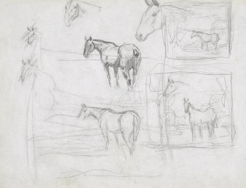 Sir Alfred J. Munnings Horse Studies