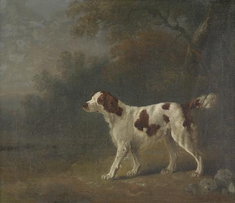 Sawrey Gilpin A Setter at the Edge of a Wood