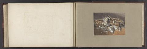 D'Oyly, Charles, 1781-1845, artist, lithographer. Behar amateur lithographic scrap book.