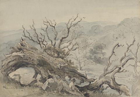 William Henry Hunt A Fallen Oak