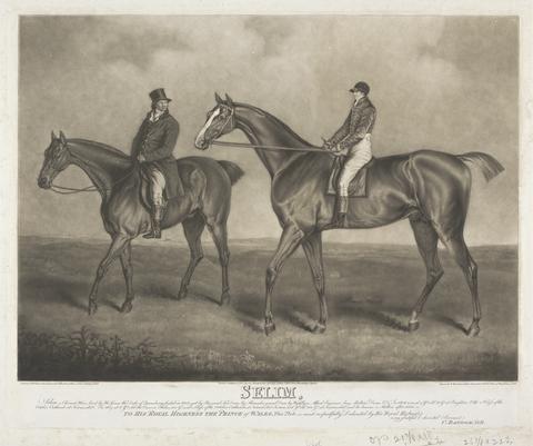 William Ward Selim. Selim, a Chesnut Horse, bred by His Grace the Duke of Queensberry, foaled in 1802 got by Buzzard, his Dam by Alexander, Grand Dam by Highflyer, Alfred, Engineer, bay Malton's Dam &tc., ...