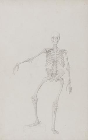 George Stubbs Human Skeleton, Anterior View (Right Arm Outstretched; finished study for unpublished table)
