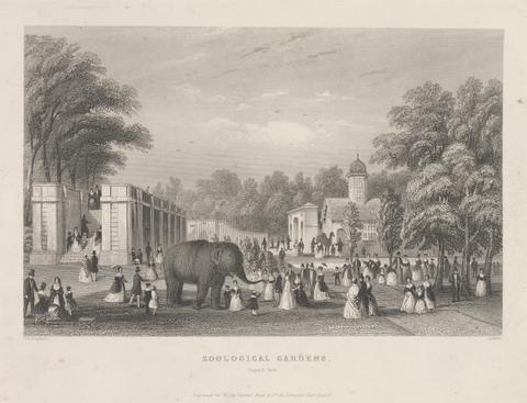 William Le Petit Zoological Gardens, Regent's Park