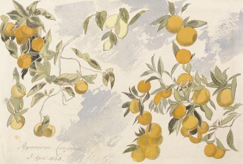 Edward Lear Fruit trees, 3 April 1863