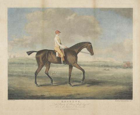 William Ward Racing: Rosette. The Property of Henry Peirse Esq.