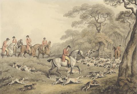 Foxhunting: Going to Cover