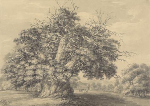 Thomas Hearne The Chestnut Tree at Little Wymondley, Hertfordshire