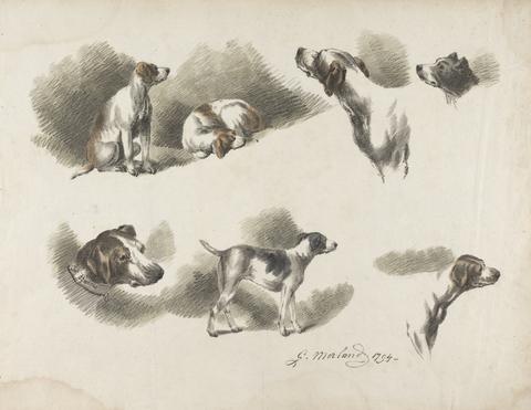George Morland [Animals] Seven studies on hound on one sheet. 'Jno. Harris' on collar of hound at lower left