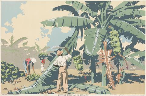 Frank Newbould Empire Buying Makes Busy Factories: "Cutting Bananas in Jamaica"