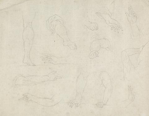 James Bruce Studies of Legs, Arms and Hands