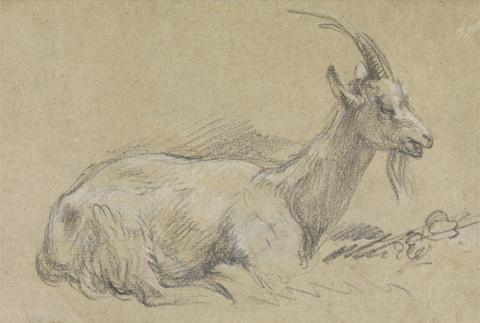 Thomas Gainsborough RA Study of a Goat