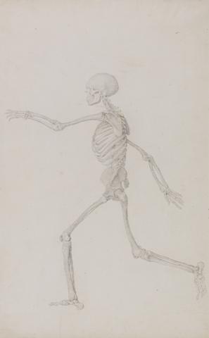 George Stubbs Human Skeleton, Lateral View Seen from the Left, Running (Finished Study for Table III)