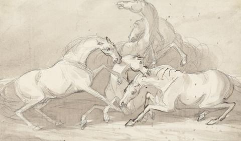 A Group of Five Horses Fighting