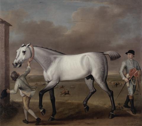 John Wootton The Duke of Hamilton's Grey Racehorse 'Victorious' at Newmarket