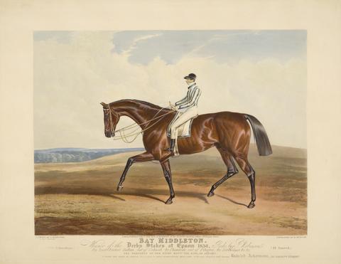 Edward Duncan Bay Middleton. Winner of the Derby Stakes at Epsom 1836
