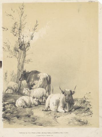 unknown artist Sheep and Cattle, No.30
