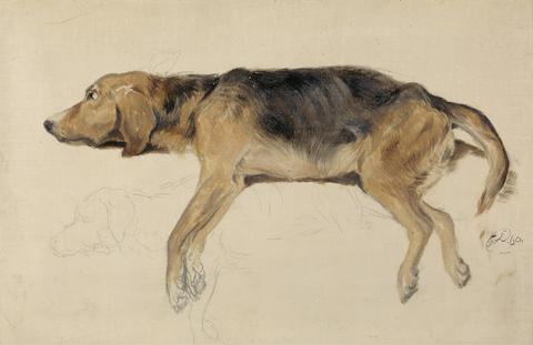 Sir Edwin Henry Landseer Study of a Dog Lying Down