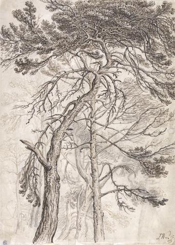 James Ward Study of Trees