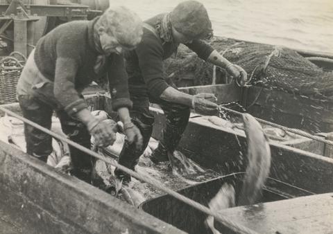 Bert Hardy Sorting out the Catch