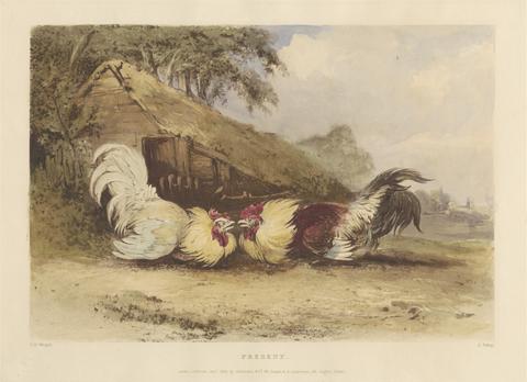 Rural Chivalry; A Series in six plates of Fighting Cocks: 3. Present